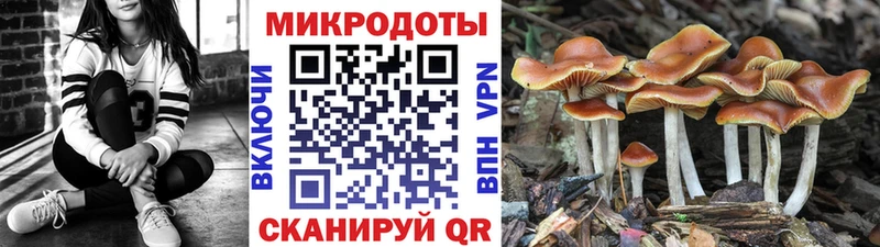 купить наркоту  Жирновск  Галлюциногенные грибы ЛСД 